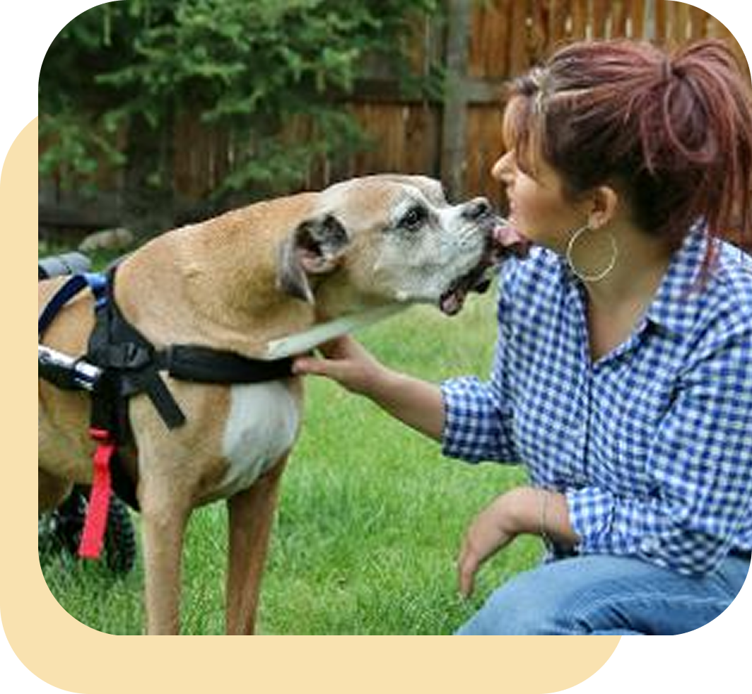 Woman affectionately kissing her dog outdoors in a garden.