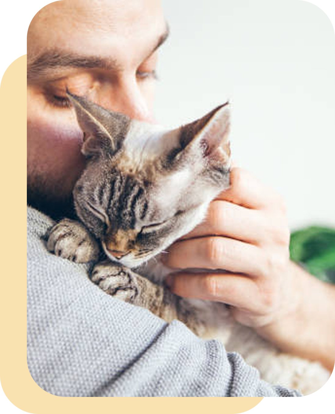 Person gently holding a sleeping cat close to their face.