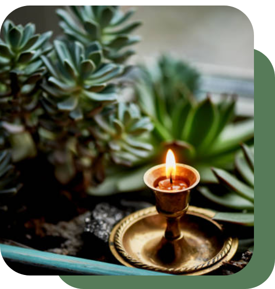A small lit candle in a brass holder surrounded by green succulents.