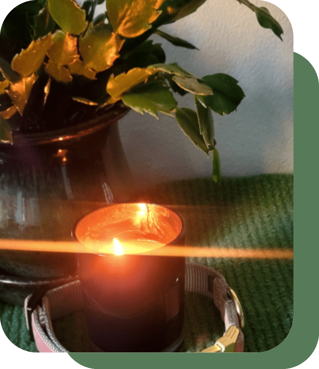 A lit candle with a warm glow beside green plant leaves.