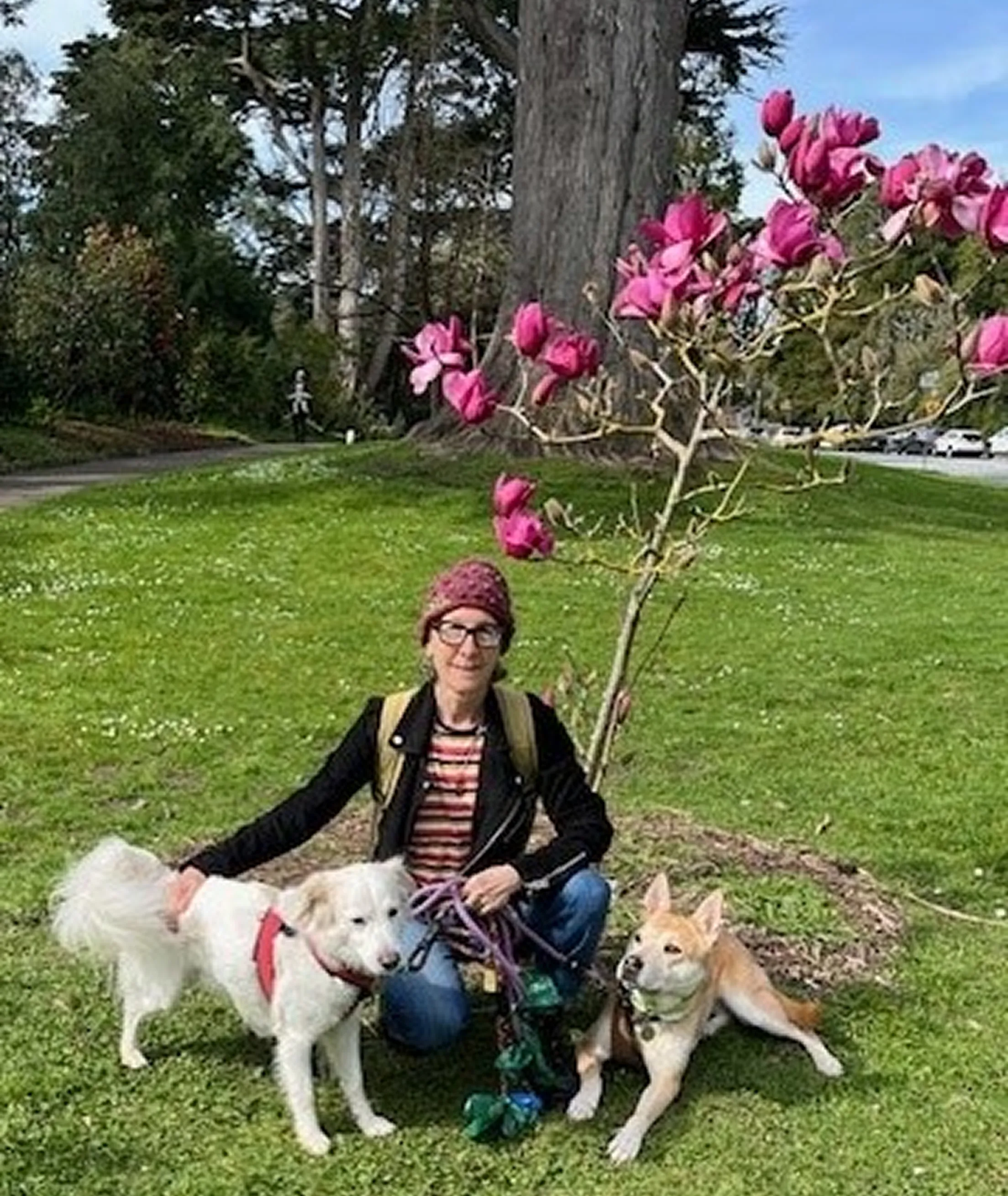 Person sitting on grass with two dogs and pink flowers overhead.